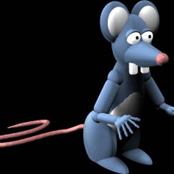 Mouse